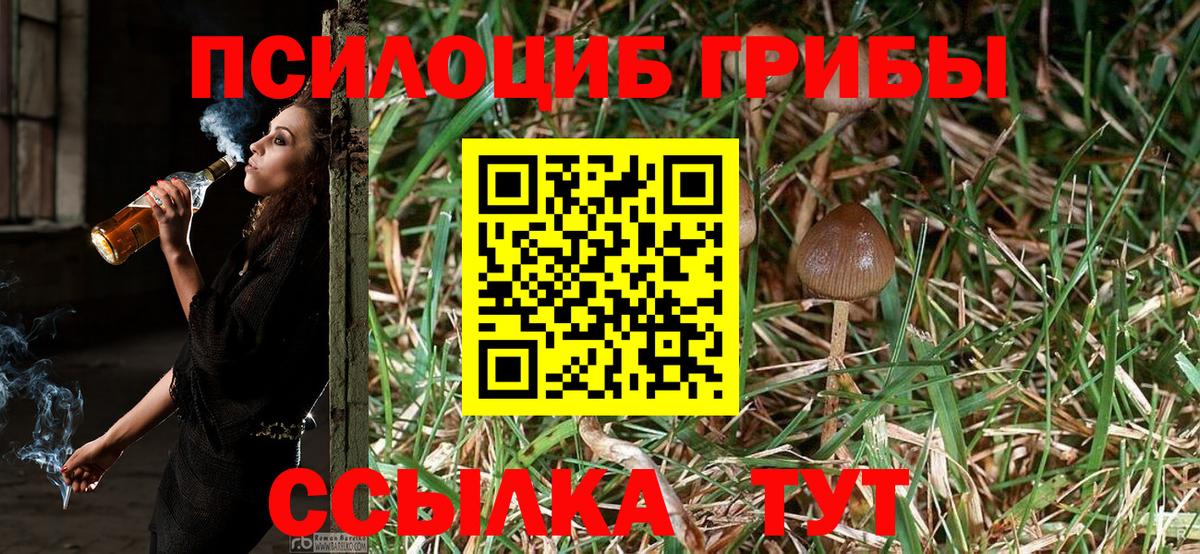 Галлюциногенные грибы Magic Shrooms Киселёвск