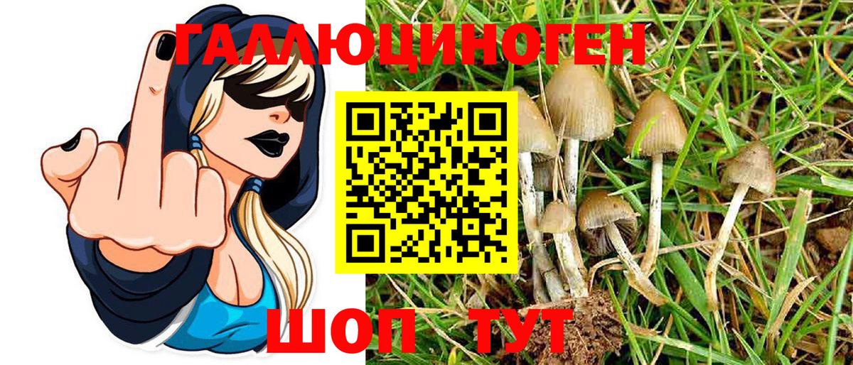 Псилоцибиновые грибы Psilocybine cubensis  даркнет сайт  Киселёвск  Вход с VPN 